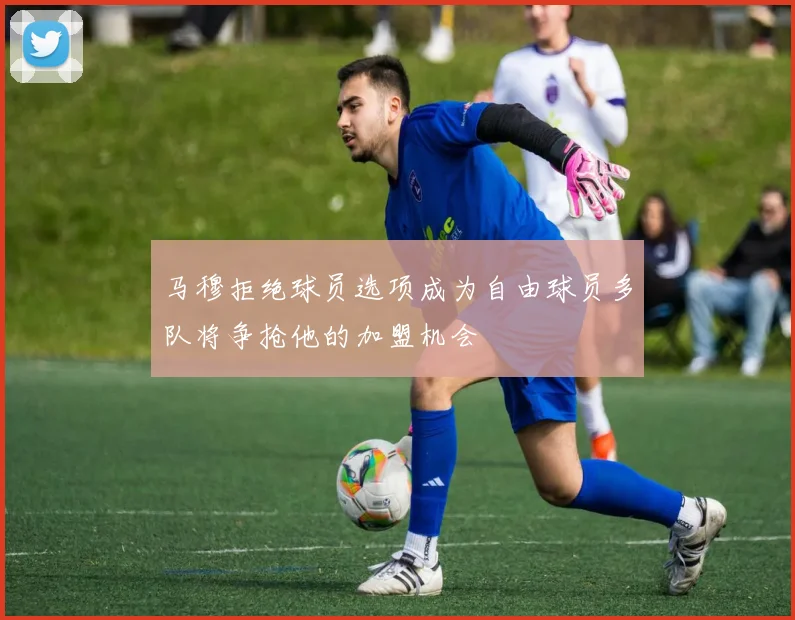 马穆拒绝球员选项成为自由球员多队将争抢他的加盟机会
