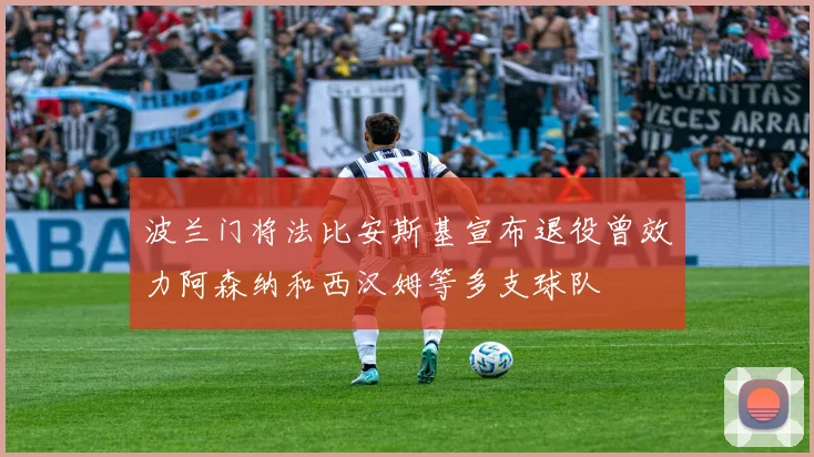 波兰门将法比安斯基宣布退役曾效力阿森纳和西汉姆等多支球队